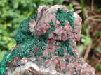 Natural Ball Malachite On Dolomite Matrix Specimens x 1 From Kambove, Congo - Toprock Gemstones and Minerals 