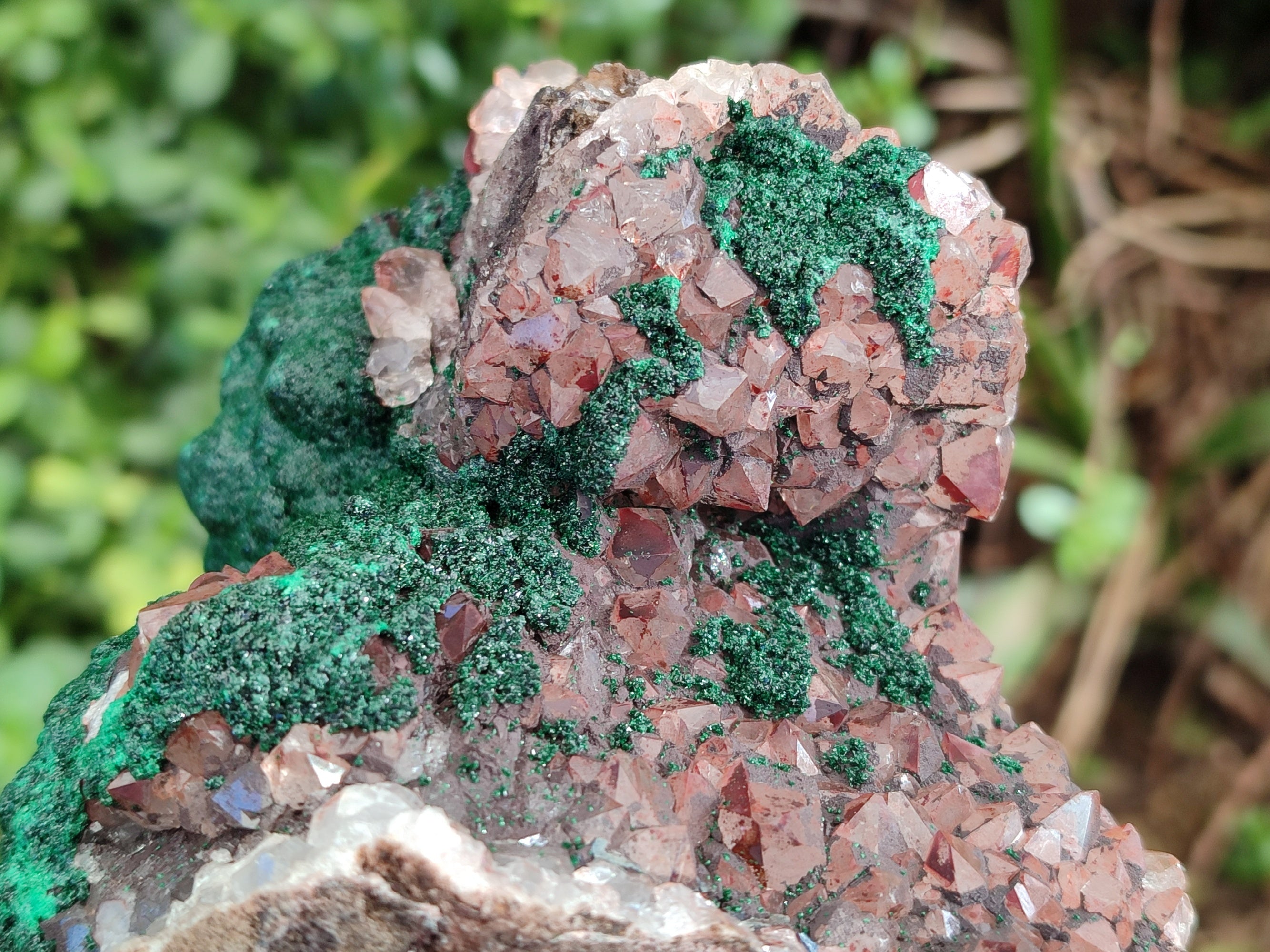 Natural Ball Malachite On Dolomite Matrix Specimens x 1 From Kambove, Congo - Toprock Gemstones and Minerals 