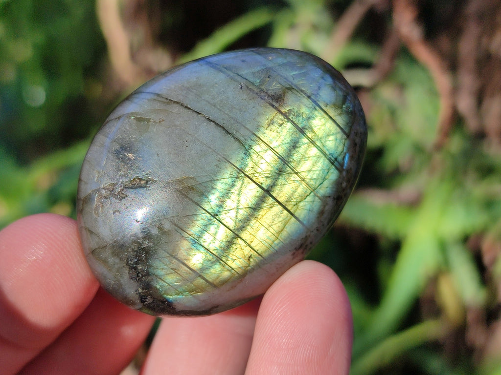 Polished Labradorite Palm Stones x 24 From Tulear, Madagascar - Toprock Gemstones and Minerals 