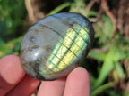 Polished Labradorite Palm Stones x 24 From Tulear, Madagascar - Toprock Gemstones and Minerals 