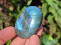 Polished Labradorite Palm Stones x 24 From Tulear, Madagascar - Toprock Gemstones and Minerals 