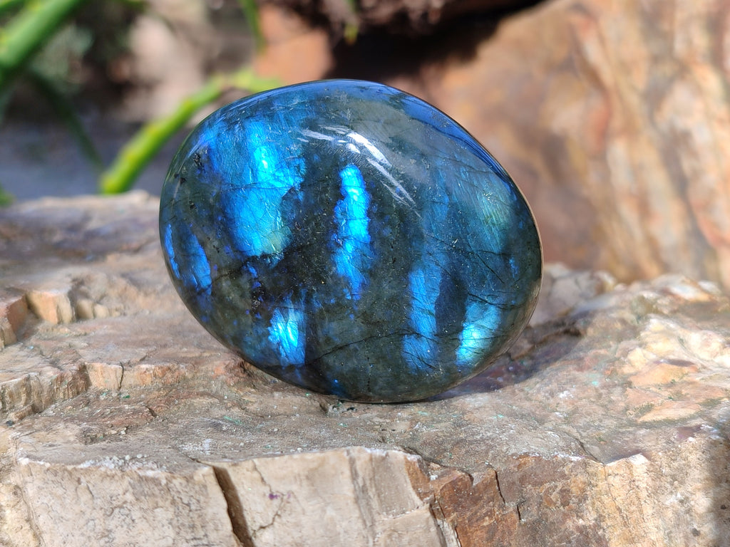 Polished Labradorite Palm Stones x 24 From Tulear, Madagascar - Toprock Gemstones and Minerals 