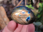 Polished Labradorite Palm Stones x 24 From Tulear, Madagascar - Toprock Gemstones and Minerals 