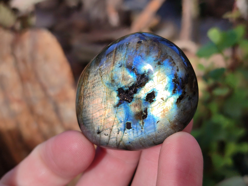 Polished Labradorite Palm Stones x 24 From Tulear, Madagascar - Toprock Gemstones and Minerals 