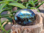 Polished Labradorite Palm Stones x 24 From Tulear, Madagascar - Toprock Gemstones and Minerals 