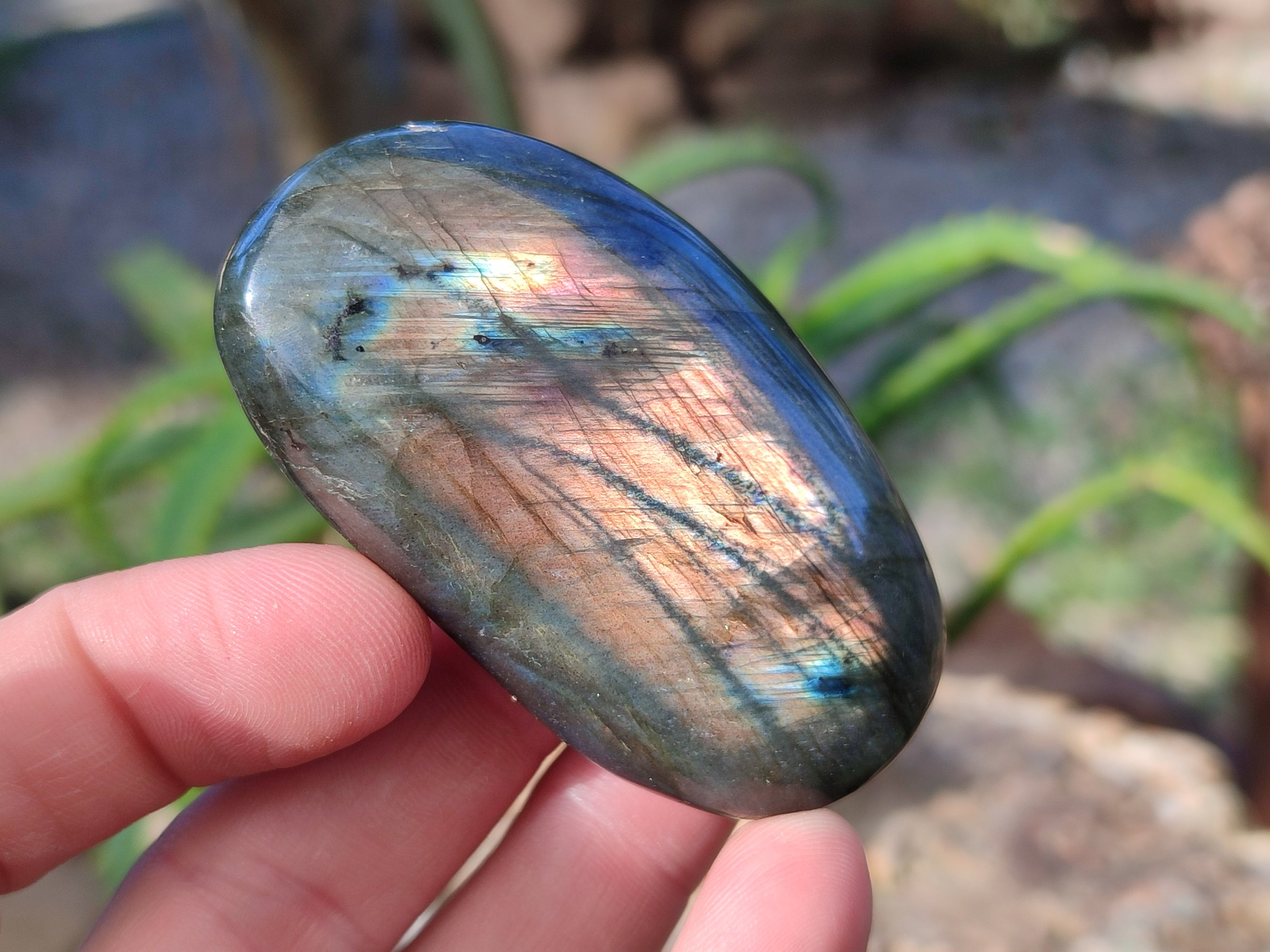 Polished Labradorite Palm Stones x 24 From Tulear, Madagascar - Toprock Gemstones and Minerals 