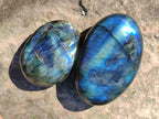 Polished Labradorite Palm Stones x 24 From Tulear, Madagascar - Toprock Gemstones and Minerals 