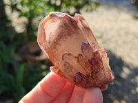 Natural Red Hematoid Quartz Crystals X 12 From Karoi, Zimbabwe