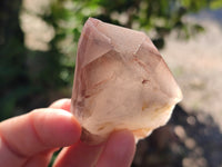 Natural Red Hematoid Quartz Crystals X 12 From Karoi, Zimbabwe