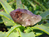 Natural Red Hematoid Quartz Crystals X 12 From Karoi, Zimbabwe