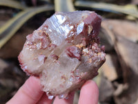 Natural Red Hematoid Quartz Crystals X 12 From Karoi, Zimbabwe