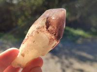 Natural Red Hematoid Quartz Crystals X 12 From Karoi, Zimbabwe