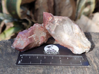 Natural Red Hematoid Quartz Crystals X 12 From Karoi, Zimbabwe