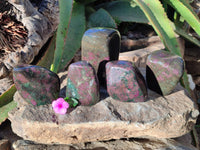 Polished Ruby Corundum In Chrome Verdite Standing Free Forms x 5 From Zimbabwe - Toprock Gemstones and Minerals 