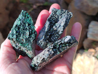 Natural Libethenite Crystals On Dolomite Matrix Specimens x 12 From Shituru, Congo