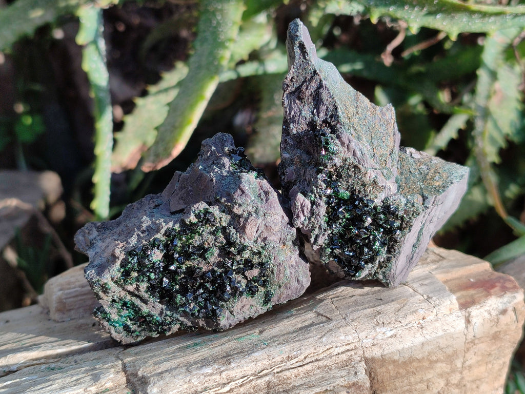 Natural Libethenite Crystals On Dolomite Matrix Specimens x 12 From Shituru, Congo - Toprock Gemstones and Minerals 