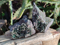 Natural Libethenite Crystals On Dolomite Matrix Specimens x 12 From Shituru, Congo