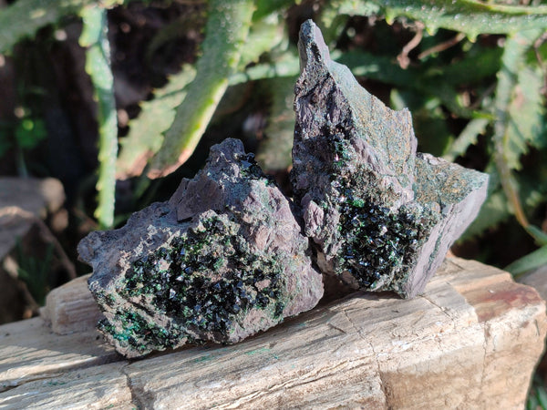 Natural Libethenite Crystals On Dolomite Matrix Specimens x 12 From Shituru, Congo