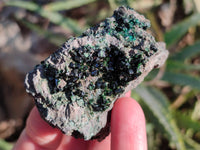 Natural Libethenite Crystals On Dolomite Matrix Specimens x 12 From Shituru, Congo