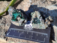 Natural Libethenite Crystals On Dolomite Matrix Specimens x 12 From Shituru, Congo