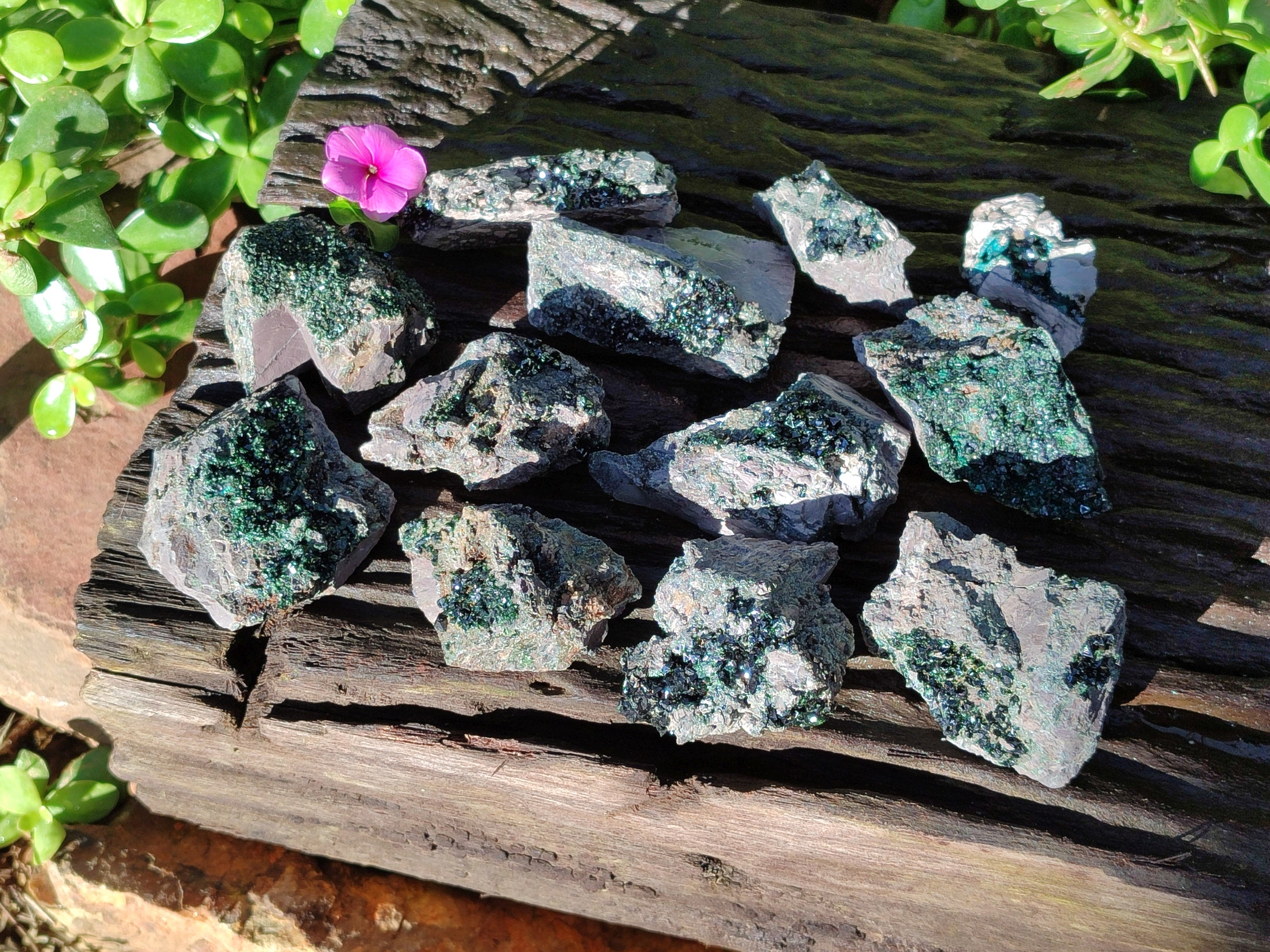 Natural Libethenite Crystals On Dolomite Matrix Specimens x 12 From Shituru, Congo - Toprock Gemstones and Minerals 
