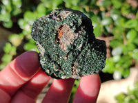 Natural Libethenite Crystals On Dolomite Matrix Specimens x 12 From Shituru, Congo