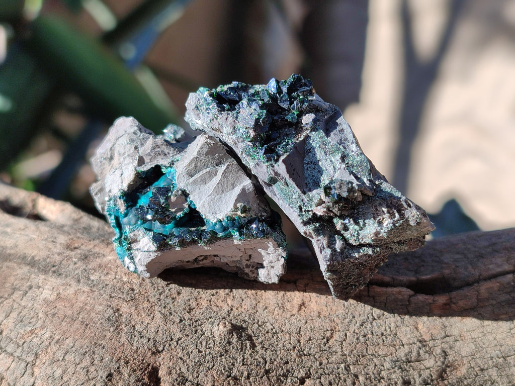 Natural Libethenite Crystals On Dolomite Matrix Specimens x 12 From Shituru, Congo - Toprock Gemstones and Minerals 