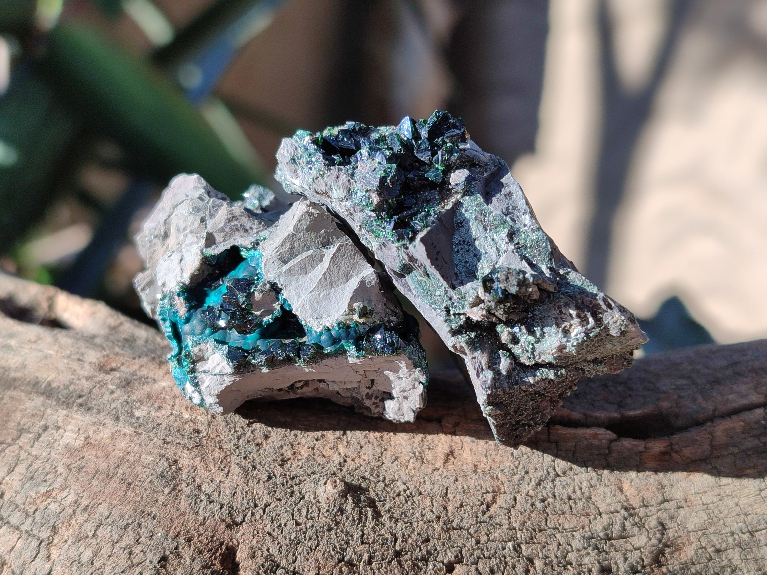 Natural Libethenite Crystals On Dolomite Matrix Specimens x 12 From Shituru, Congo - Toprock Gemstones and Minerals 