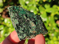 Natural Libethenite Crystals On Dolomite Matrix Specimens x 12 From Shituru, Congo