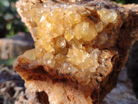 Natural Limonite Quartz Clusters x 2 From Solwezi, Zambia