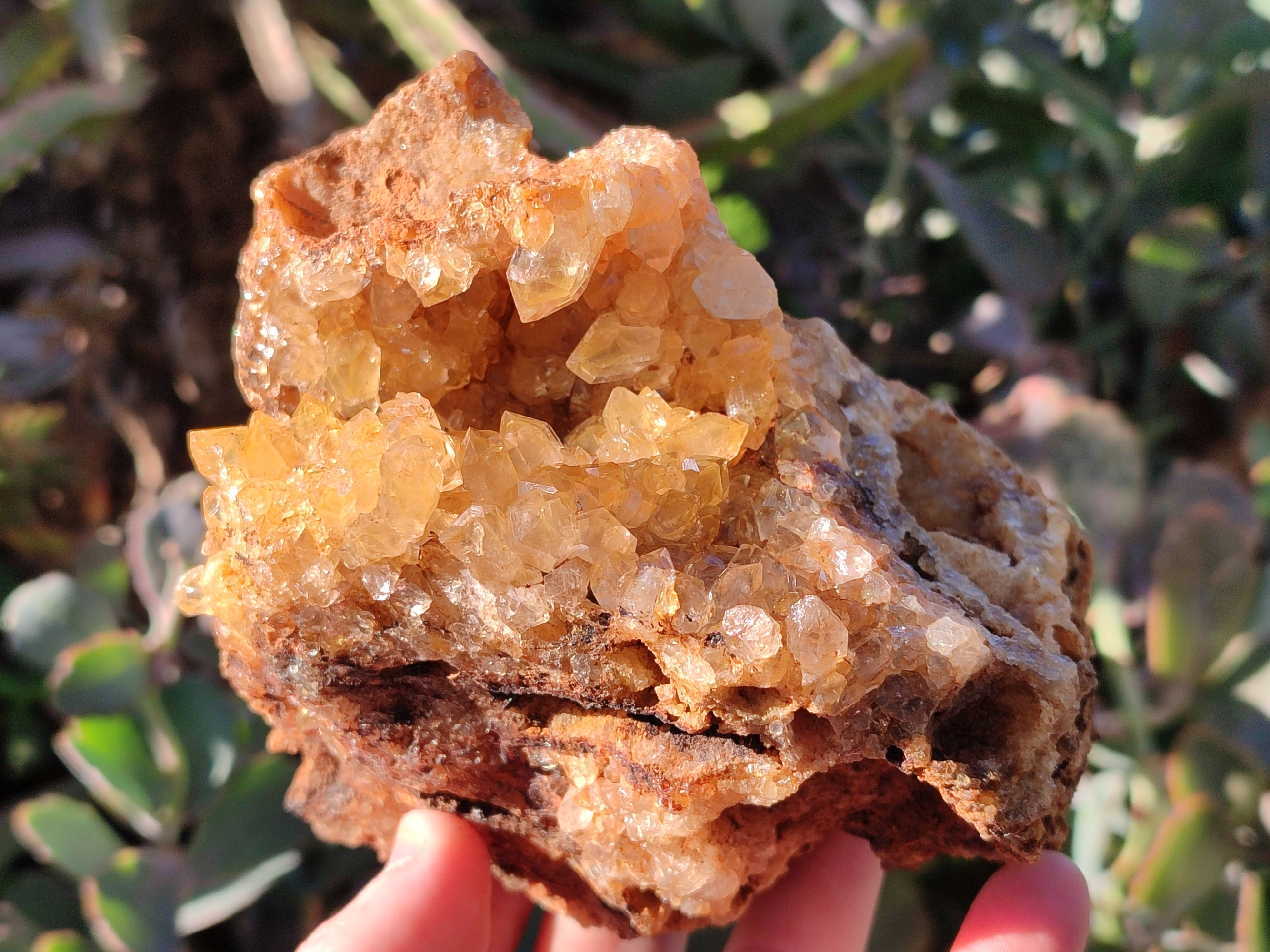 Natural Limonite Quartz Clusters x 2 From Solwezi, Zambia - Toprock Gemstones and Minerals 