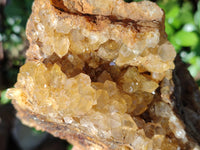 Natural Limonite Quartz Clusters x 2 From Solwezi, Zambia