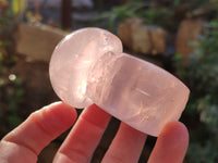 Polished Rose Quartz Mushrooms x 6 From Ambatondrazaka, Madagascar
