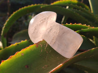 Polished Rose Quartz Mushrooms x 6 From Ambatondrazaka, Madagascar