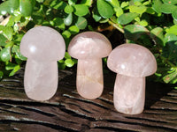 Polished Rose Quartz Mushrooms x 6 From Ambatondrazaka, Madagascar