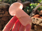 Polished Rose Quartz Mushrooms x 6 From Ambatondrazaka, Madagascar - Toprock Gemstones and Minerals 