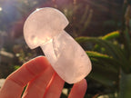 Polished Rose Quartz Mushrooms x 6 From Ambatondrazaka, Madagascar - Toprock Gemstones and Minerals 