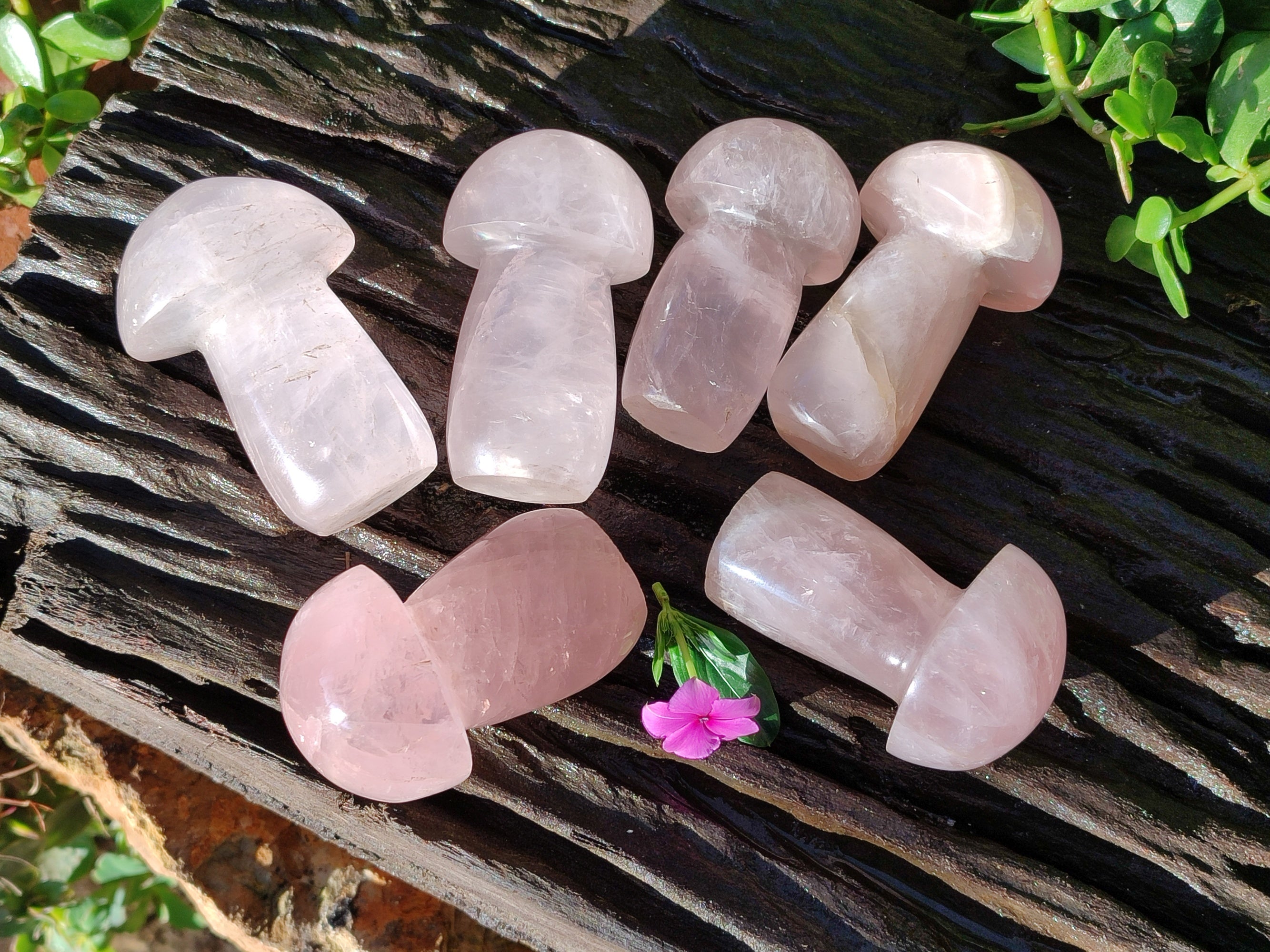 Polished Rose Quartz Mushrooms x 6 From Ambatondrazaka, Madagascar - Toprock Gemstones and Minerals 