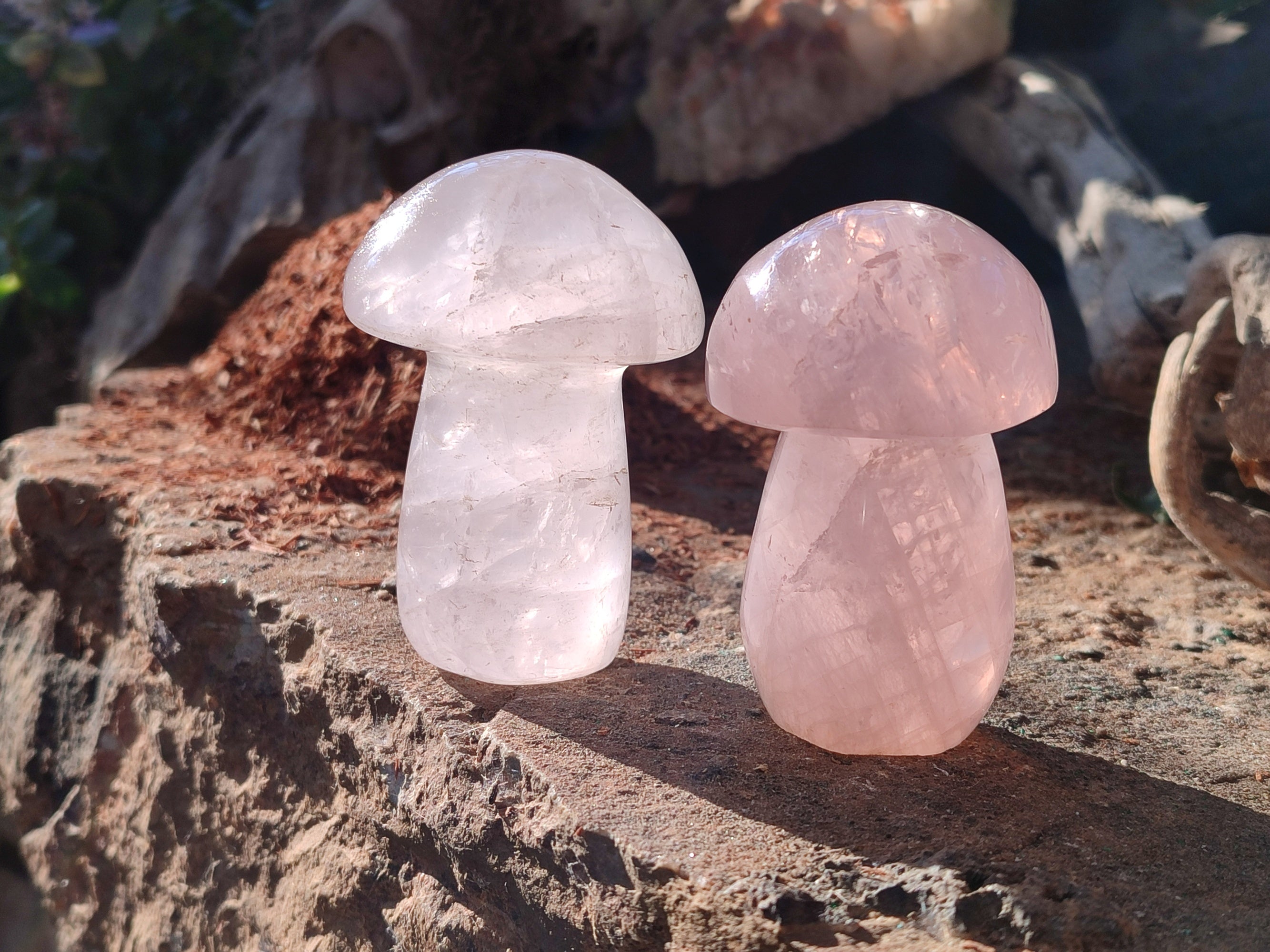 Polished Rose Quartz Mushrooms x 6 From Ambatondrazaka, Madagascar - Toprock Gemstones and Minerals 