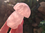 Polished Rose Quartz Mushrooms x 6 From Ambatondrazaka, Madagascar - Toprock Gemstones and Minerals 