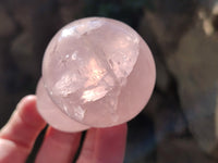 Polished Rose Quartz Mushrooms x 6 From Ambatondrazaka, Madagascar