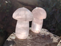 Polished Rose Quartz Mushrooms x 6 From Ambatondrazaka, Madagascar - Toprock Gemstones and Minerals 