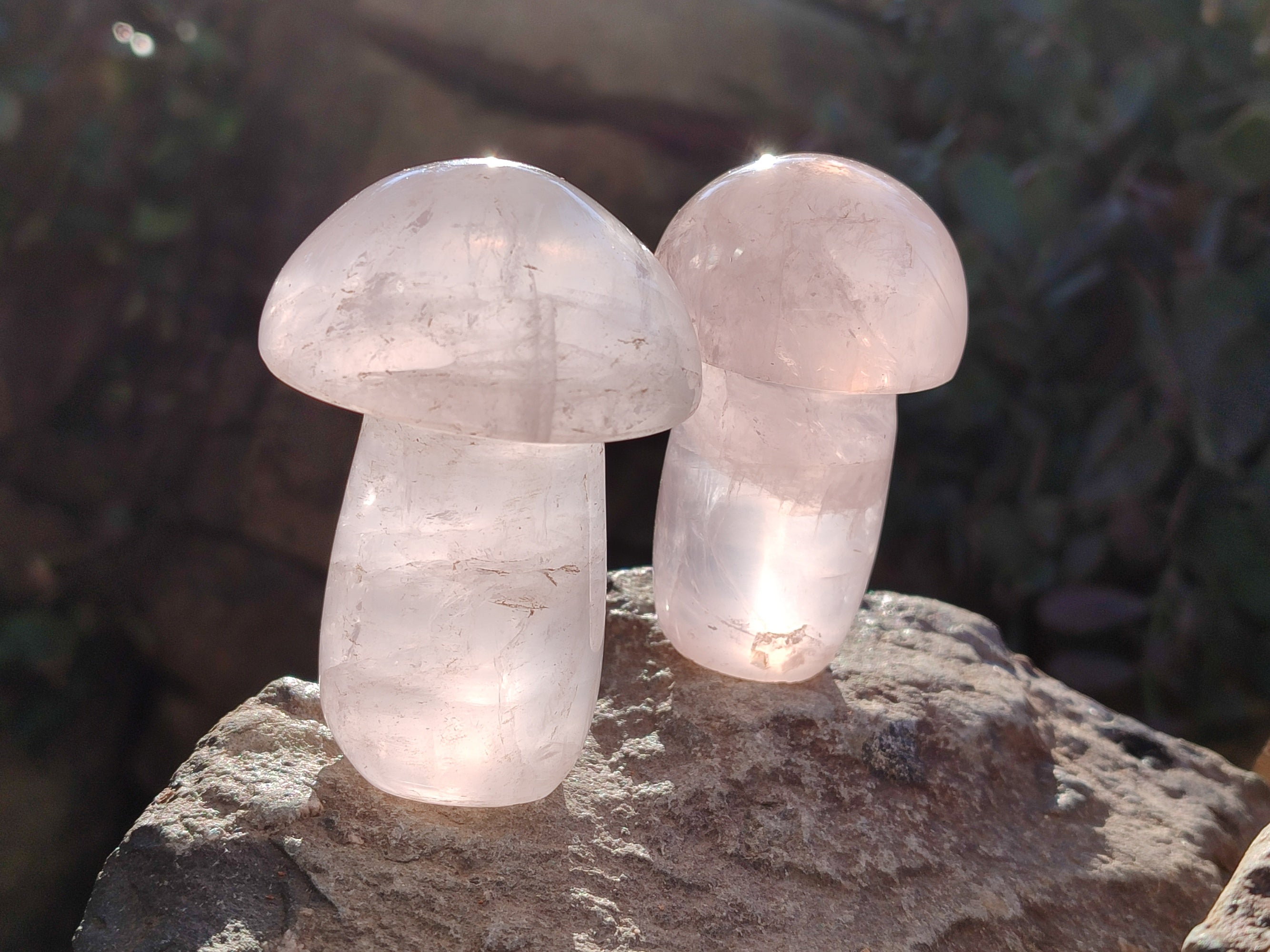 Polished Rose Quartz Mushrooms x 6 From Ambatondrazaka, Madagascar - Toprock Gemstones and Minerals 