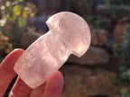 Polished Rose Quartz Mushrooms x 6 From Ambatondrazaka, Madagascar - Toprock Gemstones and Minerals 