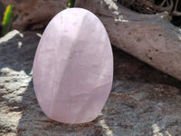 Polished Rose Quartz Standing Free Forms x 3 From Ambatondrazaka, Madagascar - Toprock Gemstones and Minerals 