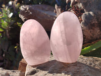 Polished Rose Quartz Standing Free Forms x 3 From Ambatondrazaka, Madagascar - Toprock Gemstones and Minerals 