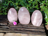 Polished Rose Quartz Standing Free Forms x 3 From Ambatondrazaka, Madagascar - Toprock Gemstones and Minerals 