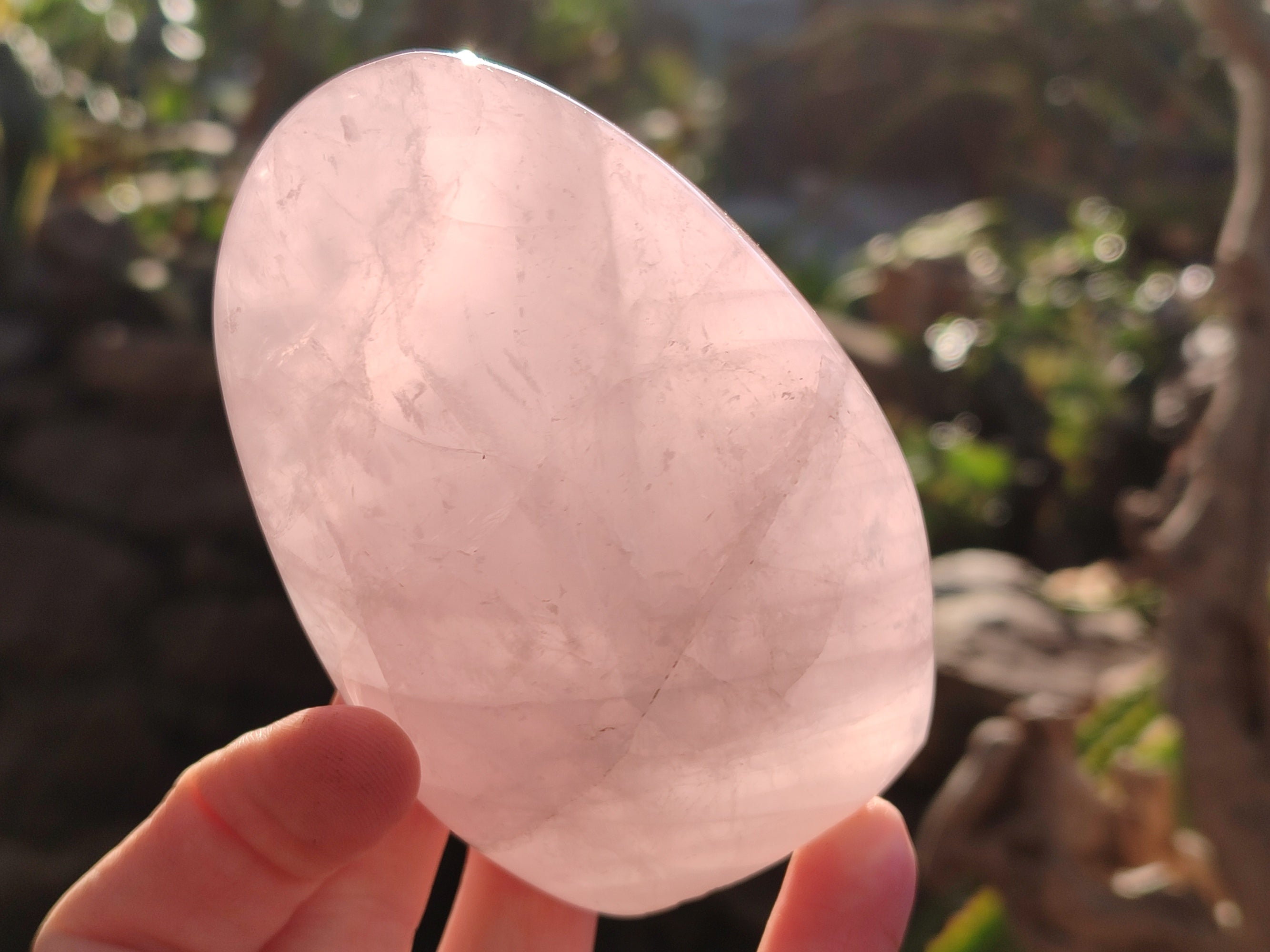 Polished Rose Quartz Standing Free Forms x 3 From Ambatondrazaka, Madagascar - Toprock Gemstones and Minerals 
