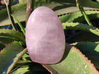 Polished Rose Quartz Standing Free Forms x 3 From Ambatondrazaka, Madagascar - Toprock Gemstones and Minerals 