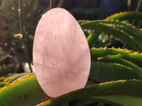 Polished Rose Quartz Standing Free Forms x 3 From Ambatondrazaka, Madagascar - Toprock Gemstones and Minerals 